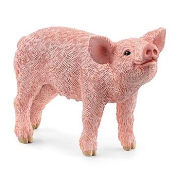 Schleich Zvířátko - sele 13934 (4059433692241)