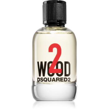 Dsquared2 2 wood toaletní voda pro muže 100 ml