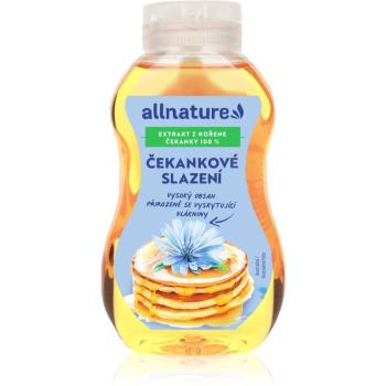 Allnature Čekankové slazení přírodní sladidlo 250 ml