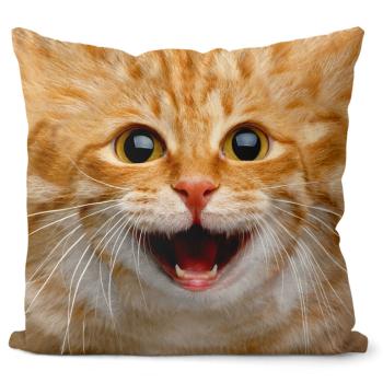 Vankúš Mačička ginger (Velikost: 55 x 55 cm)