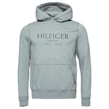 Tommy Hilfiger BIG HILFIGER HOODY Pánská mikina, šedá, velikost