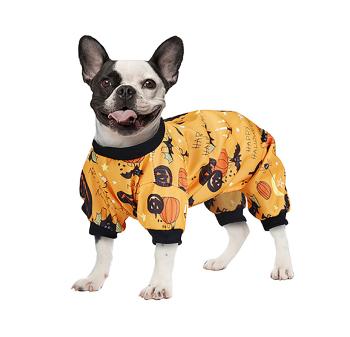 Overál kutyáknak - Halloween tök Méret - Kutya: S