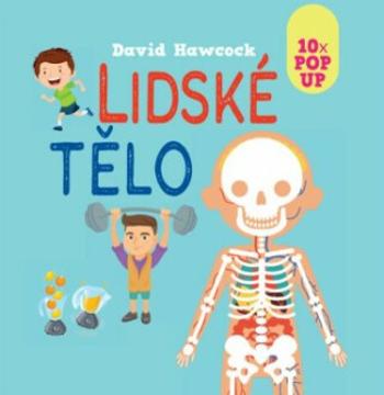 Lidské tělo 10x POP UP - David Hawcock