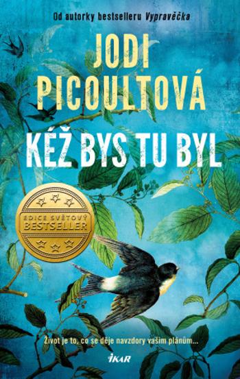 Kéž bys tu byl - Jodi Picoultová - e-kniha