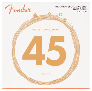 Fender 8060