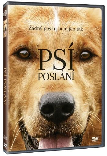 Psí poslání (DVD)