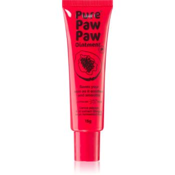 Pure Paw Paw Ointment balzám na rty a suchá místa 15 g