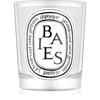 Diptyque Baies vonná svíčka 190 g