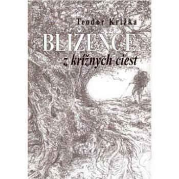 Blížence z krížnych ciest (978-80-8061-783-7)