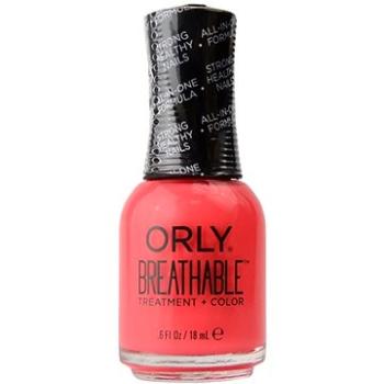 NAIL SUPERFOOD 18ML - ORLY BREATHABLE - OŠETŘUJÍCÍ BAREVNÝ LAK NA NEHTY (096200209190)