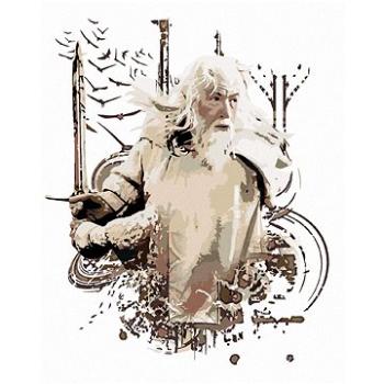 Zuty - Malovaný gandalf (pán prstenů), 40×50 cm (HRAwlmal271nad)