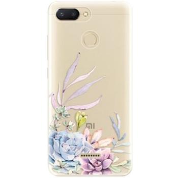 iSaprio Succulent 01 pro Xiaomi Redmi 6 (succ01-TPU2_XiRmi6)