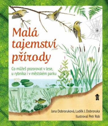 Malá tajemství přírody: Co můžeš pozorovat v lese, u rybníka i v městském parku - Luděk Jindřich Dobroruka, Jana Dobroruková