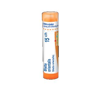 Boiron BLATTA ORIENTALIS CH15 granule 4 g