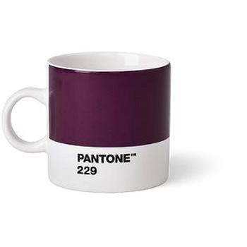 PANTONE  Espresso - Aubergine 229, 120 ml (101040229)