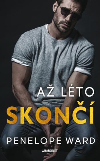 Až léto skončí - Penelope Wardová - e-kniha