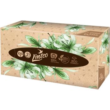 Linteo Paper Tissues Two-ply Paper, 100 pcs per box papírové kapesníky 100 ks