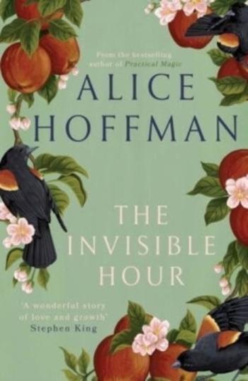 The Invisible Hour - Alice Hoffman