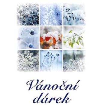 Vánoční dárek (978-80-7497-174-7)