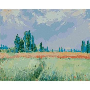 Diamondi - Diamantové malování - PŠENIČNÉ POLE (CLAUDE MONET), 40x50 cm, Vypnuté plátno na rám (605758B)