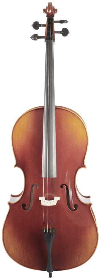 Bacio Instruments Professional Cello (AC300) 4/4