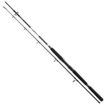 Daiwa prut bg pilk 3,00 m 50-165 g