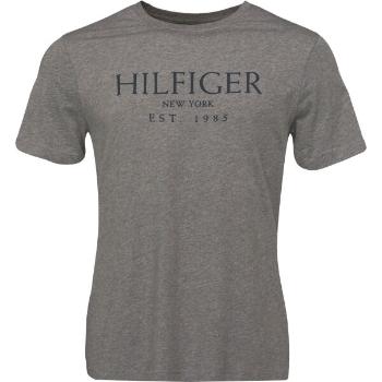 Tommy Hilfiger BIG HILFIGER TEE Pánské triko, tmavě šedá, velikost