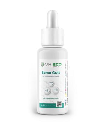 VH ECO Soma Gutt 100 ml