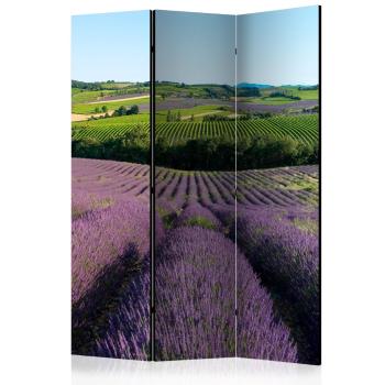 Paraván Lavender fields Dekorhome 135x172 cm (3-dílný)