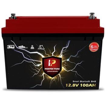 PERFEKTIUM LiFePO4 PF-12.8V 100Ah (PF-12.8V 100Ah)