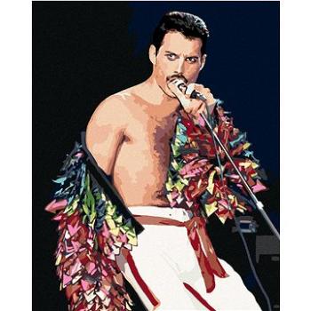 Diamondi - Diamantové malování - FREDDIE MERCURY, 40x50 cm, Vypnuté plátno na rám (603988B)