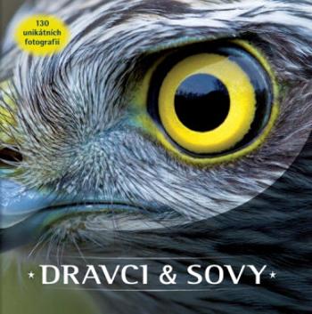 Dravci a sovy