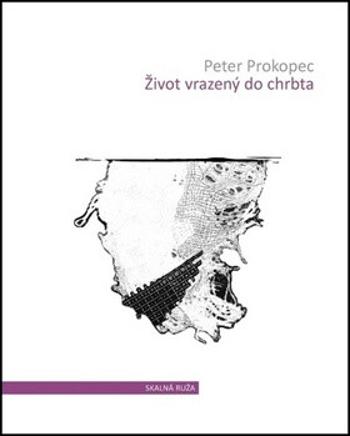 Život vrazený do chrbta - Peter Prokopec