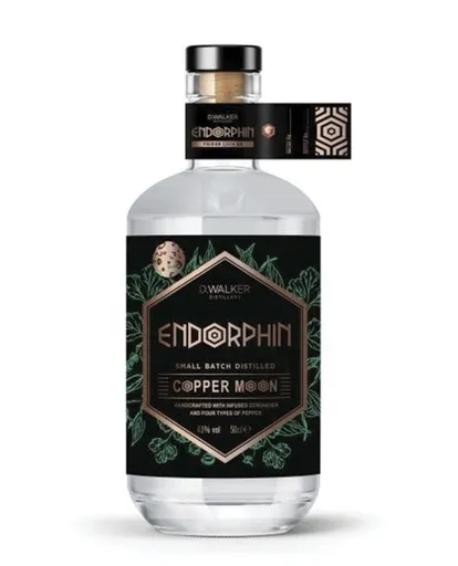 Gin v dárkovém balení COPPER MOON