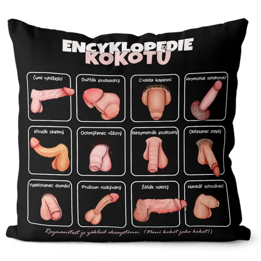 Polštář Encyklopedie kokotů (Velikost: 55 x 55 cm)