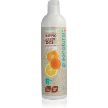 Greenatural Shampoo with Vitamins A, C, E sampon delicat cu vitamine A, C, E 400 ml