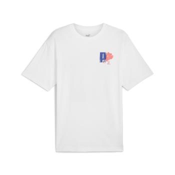 Puma GRAPHICS Growth Relaxed Tee M