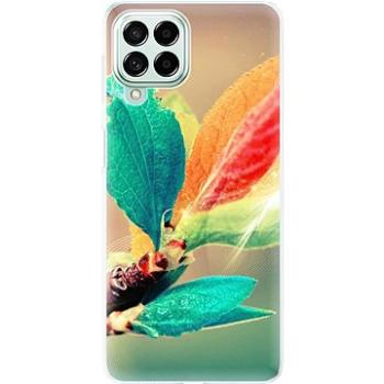 iSaprio Autumn 02 pro Samsung Galaxy M53 5G (aut02-TPU3-M53_5G)