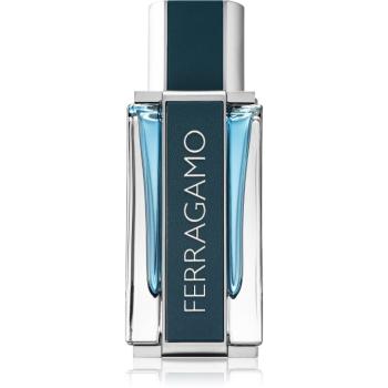 Ferragamo Ferragamo Intense Leather parfémovaná voda pro muže 50 ml