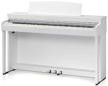 Kawai CN301W