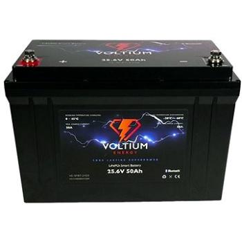 Voltium Energy LiFePO4 smart baterie VE-SPBT-2450, 24V, 50Ah  (VE-SPBT-2450)