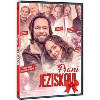 Přání Ježíškovi - DVD (N03475)