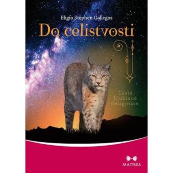 Do celistvosti: Cesta hlubinné imaginace (978-80-7500-342-3)