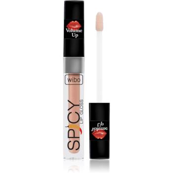 Wibo Lip Gloss Spicy lesk na rty pro větší objem 7 3 ml