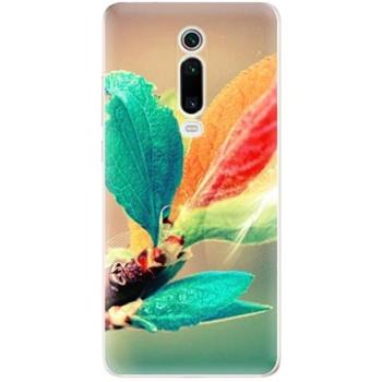 iSaprio Autumn pro Xiaomi Mi 9T Pro (aut02-TPU2-Mi9Tp)