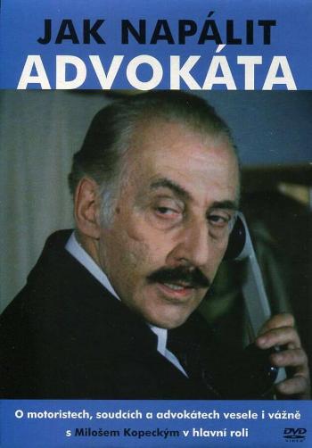 Jak napálit advokáta (DVD) (papírový obal)