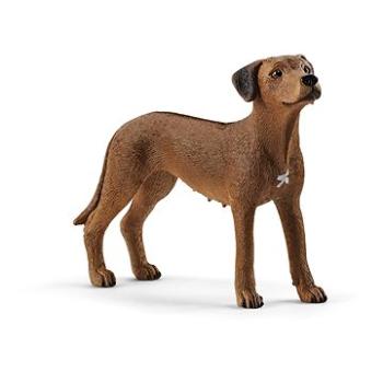 Schleich Zvířátko - pes ridgback rhodéský 13895 (4059433007229)