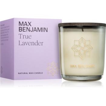 MAX Benjamin True Lavender vonná svíčka 210 g