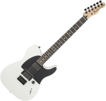 Fender Jim Root Telecaster Flat White Elektrická kytara