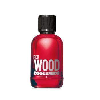 Dsquared2 Red Wood toaletní voda 100 ml